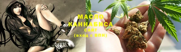 амф Бородино