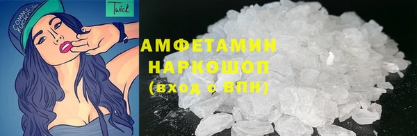 амф Бородино