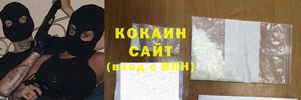 амф Бородино