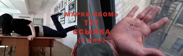 амф Бородино