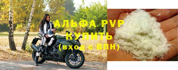 амф Бородино