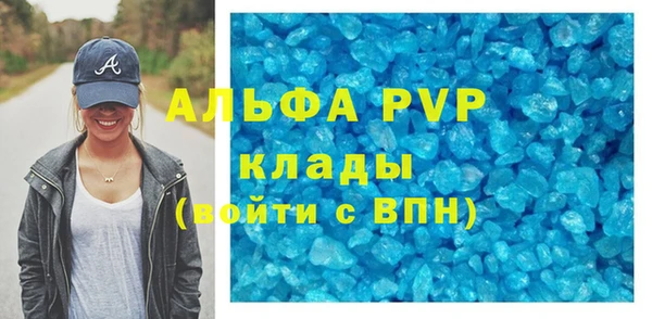амф Бородино