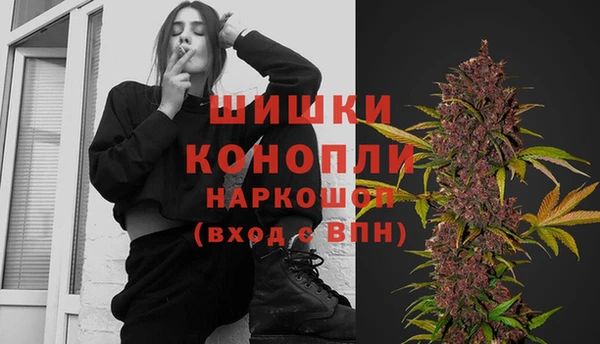 амф Бородино