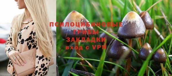 амф Бородино
