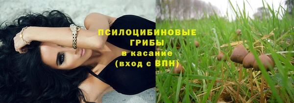 амф Бородино