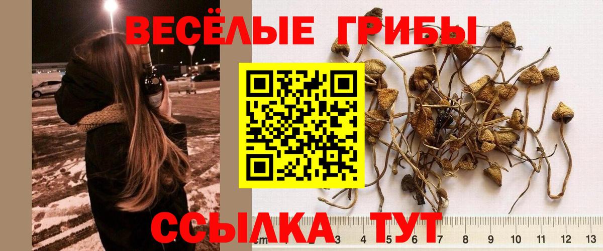 Псилоцибиновые грибы прущие грибы Белогорск