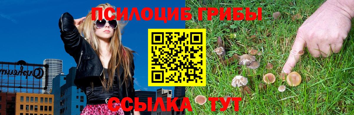 Белогорск  Галлюциногенные грибы мицелий  Вход с VPN  Псилоцибиновые грибы Psilocybe 